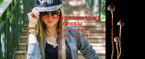 круглые Аркадак