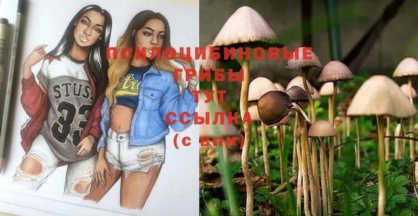 герыч Арсеньев