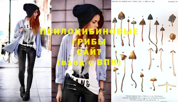spice Балахна