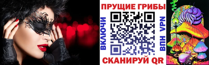 Галлюциногенные грибы Cubensis  сколько стоит  Калуга 